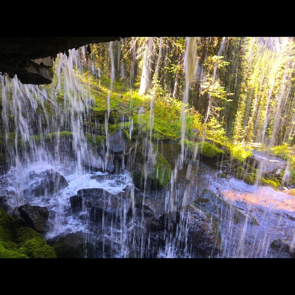 Meet your Posher, Courtney